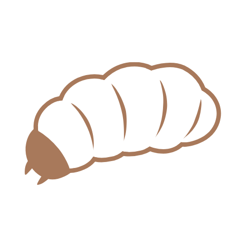 LA LARVA